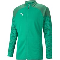 PUMA teamCUP Trainingsjacke Herren 05 - pepper green 3XL von Puma