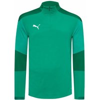 PUMA teamFINAL Herren Training 1/4-Zip Sweatshirt 656475-05 PUMA teamFINAL Herren Training 1/4-Zip Sweatshirt 656475-05 von Puma