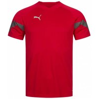 PUMA teamFINAL Herren Trikot 657379-01 PUMA teamFINAL Herren Trikot 657379-01 von Puma