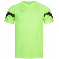 PUMA teamFINAL Herren Trikot 657379-20 von Puma