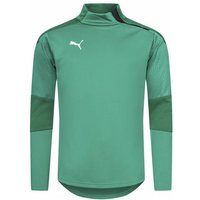 PUMA teamFINAL Training Fleece Herren Oberteil 656480-05 von Puma