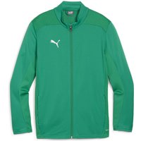 PUMA teamFINAL Trainingsjacke Kinder 05 - sport green/puma silver 152 von Puma