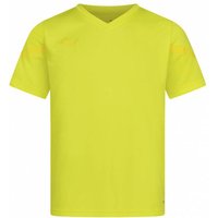 PUMA teamFLASH Kinder Trikot 704395-23 von Puma