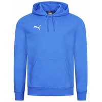 PUMA teamGOAL Casuals Herren Hoodie 658618-02 von Puma