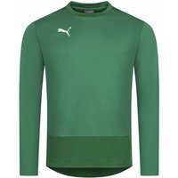 PUMA teamGOAL Herren Training Sweatshirt 656478-05 von Puma