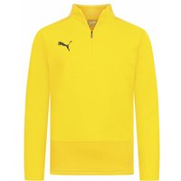 PUMA teamGOAL Kinder 1/4-Zip Sweatshirt 656567-07 PUMA teamGOAL Kinder 1/4-Zip Sweatshirt 656567-07 von Puma