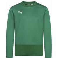 PUMA teamGOAL Kinder Training Sweatshirt 656568-05 PUMA teamGOAL Kinder Training Sweatshirt 656568-05 von Puma