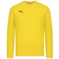 PUMA teamGOAL Kinder Training Sweatshirt 656568-07 PUMA teamGOAL Kinder Training Sweatshirt 656568-07 von Puma