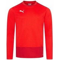 PUMA teamGOAL Training Sweat Herren Pullover 656478-01 PUMA teamGOAL Training Sweat Herren Pullover 656478-01 von Puma