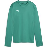 PUMA teamGOAL Trainings-Sweatshirt Damen 05 - sport green/power green/puma white XS von Puma