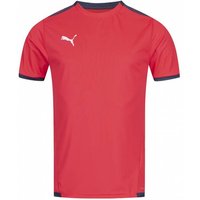 PUMA teamLIGA Jersey Herren Trikot 704917-53 von Puma