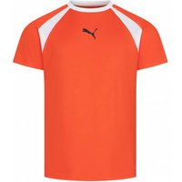 PUMA teamLIGA Multisport Herren Trikot 658084-13 PUMA teamLIGA Multisport Herren Trikot 658084-13 von Puma