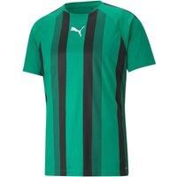 PUMA teamLIGA Striped Trainingsshirt Herren pepper green/black/white L von Puma