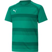 PUMA teamVISION Trikot Kinder peppergreen/powergreen/white 152 PUMA teamVISION Trikot Kinder peppergreen/powergreen/white 152 von Puma