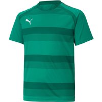 PUMA teamVISION Trikot Kinder peppergreen/powergreen/white 152 von Puma