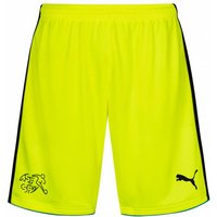 Schweiz PUMA Torwart Shorts 748703-05Y von Puma