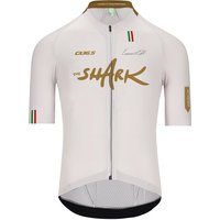 Nibali Olympic 2025 Kurzarmtrikot, für Herren, Größe L, Rennrad Trikot, Nibali Olympic 2025 Kurzarmtrikot, für Herren, Größe L, Rennrad Trikot, von Q36.5