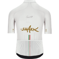 Nibali Olympic 2025 Kurzarmtrikot, für Herren, Größe S, Radtrikot, Nibali Olympic 2025 Kurzarmtrikot, für Herren, Größe S, Radtrikot, von Q36.5