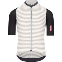 Q36.5 Dottore Clima Kurzarmtrikot, für Herren, Größe L, Radtrikot, Q36.5 Dottore Clima Kurzarmtrikot, für Herren, Größe L, Radtrikot, von Q36.5