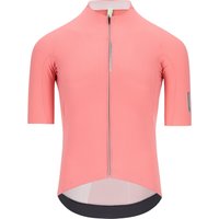 Q36.5 Dottore Pro Kurzarmtrikot, für Herren, Größe L, Radtrikot, Q36.5 Dottore Pro Kurzarmtrikot, für Herren, Größe L, Radtrikot, von Q36.5