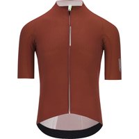 Q36.5 Dottore Pro Kurzarmtrikot, für Herren, Größe M, Radtrikot, Q36.5 Dottore Pro Kurzarmtrikot, für Herren, Größe M, Radtrikot, von Q36.5