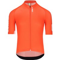 Q36.5 Gregarius Pro Signature Kurzarmtrikot, für Herren, Größe 2XL, Q36.5 Gregarius Pro Signature Kurzarmtrikot, für Herren, Größe 2XL, von Q36.5