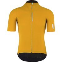 Q36.5 Pinstripe PRO Kurzarmtrikot, für Herren, Größe 2XL, Fahrradtrikot, von Q36.5