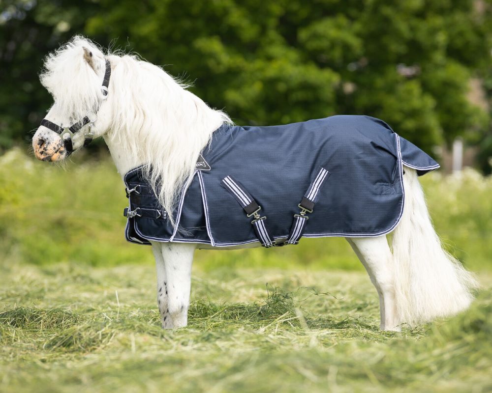 Falabella Weidedecke Turnout 200gr Falabella Weidedecke Turnout 200gr von QHP