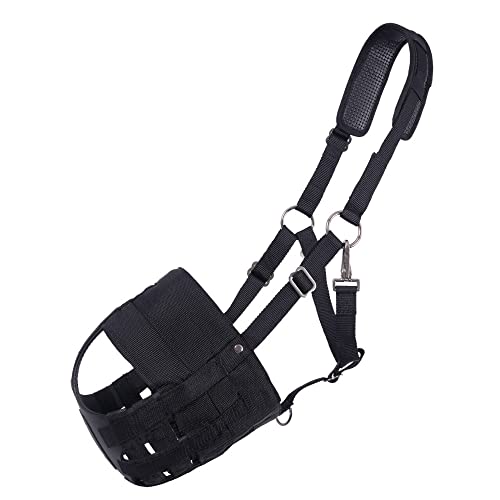 QHP Beweidungsmaske mit Nasenlöchern, Größe:Pony, Farbe:schwarz QHP Beweidungsmaske mit Nasenlöchern, Größe:Pony, Farbe:schwarz von QHP