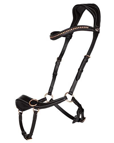 QHP Gebisslose Leder Trense Anatomical (Warmblut, schwarz) von QHP