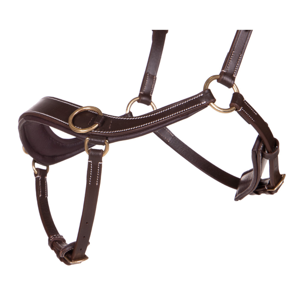 QHP Gebisslose Trense Anatomical QHP Gebisslose Trense Anatomical von QHP