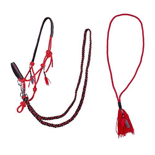 QHP Knotenhalfter Kombi Liberty Set aus Knotenhalfter mit ABN. Zügeln + Halsseil (Kaltblut, Rot) von QHP