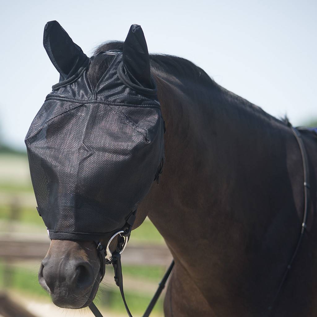 QHP ReitFliegenmaske mit Ohren QHP ReitFliegenmaske mit Ohren von QHP