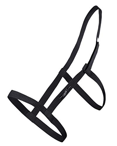 QHP Weidehalfter Halfter mit Klettverschluss schwarz (Shetty) von QHP