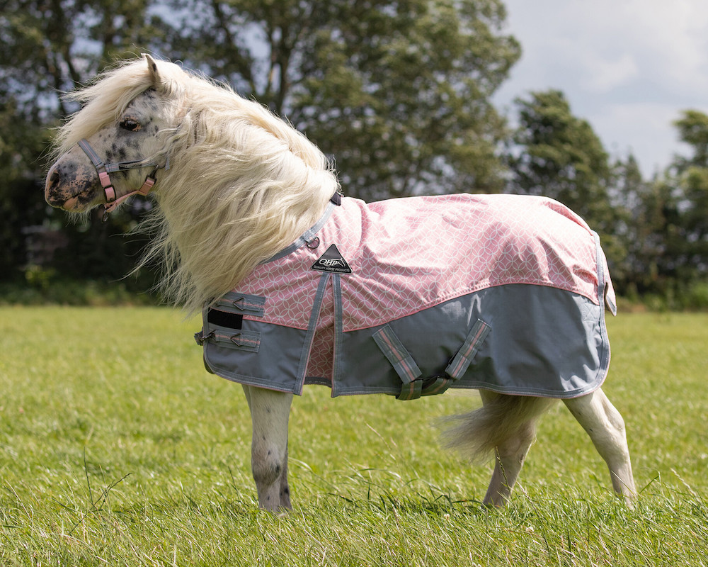 Turnoutdecke Falabella Collection Turnoutdecke Falabella Collection von QHP