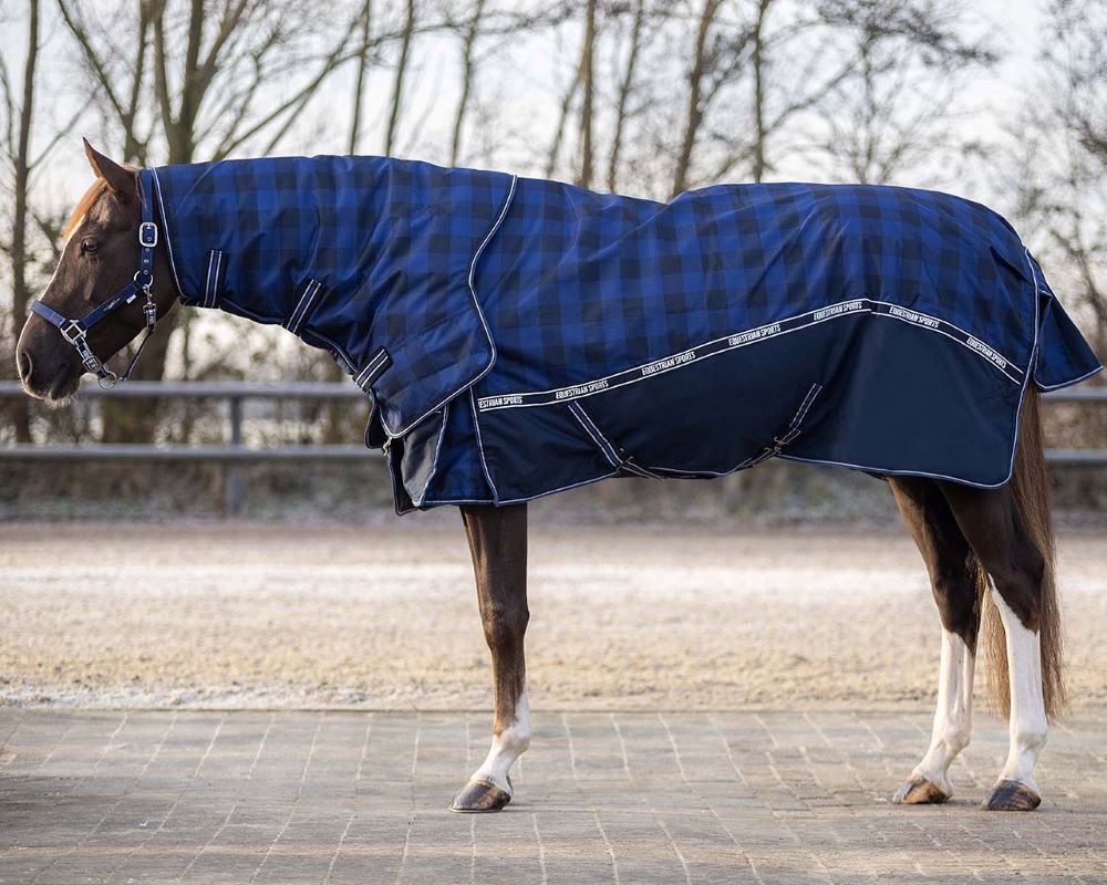 Weidedecke Turnout Collection 150gr abnehmbarem Hals Weidedecke Turnout Collection 150gr abnehmbarem Hals von QHP