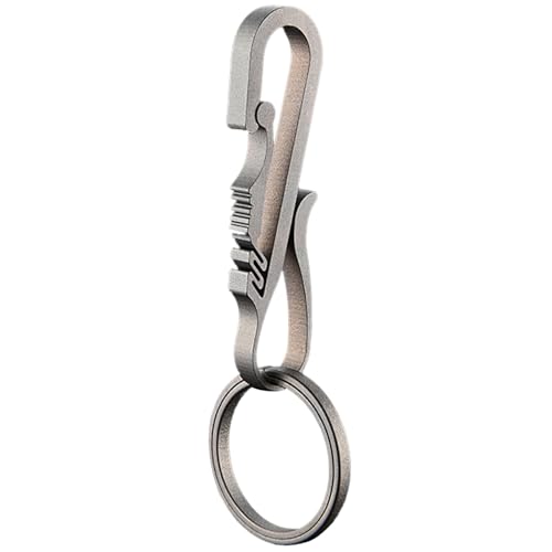 QRONCES Schlüsselanhänger aus Metalllegierung, Karabiner, Schlüsselanhänger, Clip, schnelles Werkzeug, Schlüsselhalter, Organizer, Geschenk für Männer und Frauen, Outdoor-Legierung, Schlüsselanhänger, von QRONCES