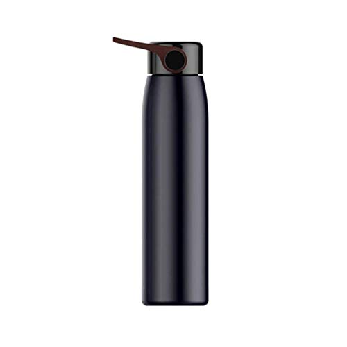 QTANZIQI Stilvoller Edelstahl-Thermosbecher, kreativer tragbarer Vakuum-Reisebecher mit Griff, 320 ml Thermoflasche qujunji Silk Pillowcase von QTANZIQI