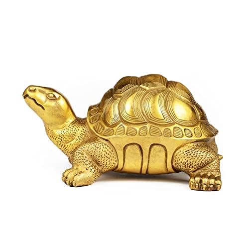 QTYQWC Dekorationen der Statue -Tisch Messing Schildkröte Ornamente Glückshandwerk kleine Ornamente Home Office Schlafzimmer Desktop Dekoration Handwerk Ornamente für Wohnzimmer (Größe: 10.5x6x5 cm) von QTYQWC