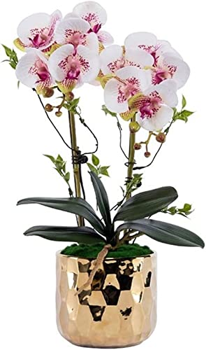 QTYQWC Künstliche Blume, Künstlicher Bonsai mit Vase, Künstliches Blumenset, Künstliche Schmetterlingsorchidee und Goldene Keramikvase, Für Hochzeitsbalkondekor, Desktop-Dekorornamente, Gelb von QTYQWC