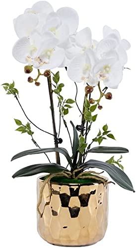 QTYQWC Künstliche Blume, Künstlicher Bonsai mit Vase, Künstliches Blumenset, Künstliche Schmetterlingsorchidee und Goldene Keramikvase, Für Hochzeitsbalkondekor, Desktop-Dekorornamente, Gelb von QTYQWC