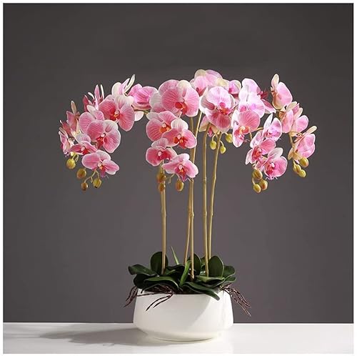 QTYQWC Künstliche Blume, Phalaenopsis, künstliche Blume mit Blumentopf, Kunstblumen-Set für Zuhause, Büro, Party, Hochzeit, Kunststoff-Blumendekoration, Heimdekoration von QTYQWC