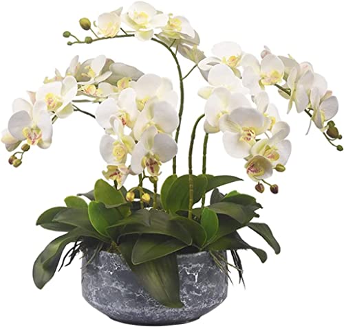 QTYQWC Künstliche Blume, Phalaenopsis, künstliche Blume mit Keramik-Blumentopf, gefälschtes Blumen-Set für Zuhause, Wohnzimmer, Kunststoffblumen-Dekoration, Heim-Mittelstücke von QTYQWC