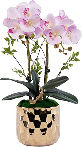 QTYQWC Künstliche Blumen, künstlicher Bonsai mit Vase, Orchideen, künstliche Blumen, Phalaenopsis – Orchideen-Kunstblumen in goldenem Keramiktopf – Hochzeitsfeier, Esstisch, Schreibtisch-Ornament, von QTYQWC