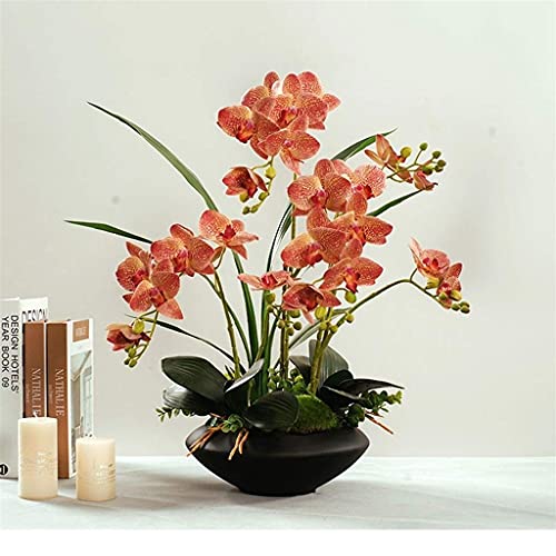 Künstliches Blumenset, künstliche Orchidee, Simulationsblumenset, Kunstblume, Seidenblumen, Phalaenopsis-Blumenstrauß mit Vasenarrangement, Topfpflanze, Blumendekor, schöne künstliche Blumen und (D) von QXGJTLI