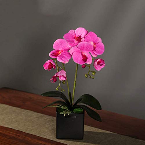 Kunstblumen-Set, künstliche Orchidee mit Vase, künstliche Blume, Kunstblume mit Topf, künstliche Phalaenopsis, Bonsai für die Wohnzimmerdekoration, schöne Kunstblumen und Vasen (Farbe: (H) Hallo von QXGJTLI