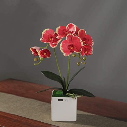 Kunstblumen-Set, künstliche Orchidee mit Vase, künstliche Blume, künstliche Blume mit Topf, künstliche Phalaenopsis, Bonsai für die Wohnzimmerdekoration, schöne Kunstblumen und Vasen (Farbe: (F) von QXGJTLI