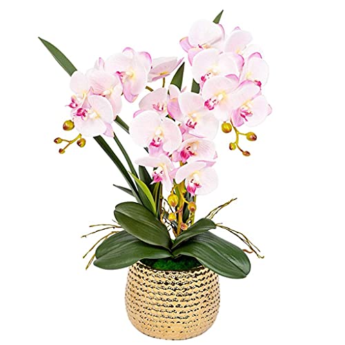 Kunstblumen-Set, künstliche Phalaenopsis-Orchideen-Blumenbonsai mit Vase, Seidentuch-Orchideen-Dekoration für die Tischdekoration zu Hause, weiß, schöne Kunstblumen und Vasen (Farbe: Pin (Pink) von QXGJTLI