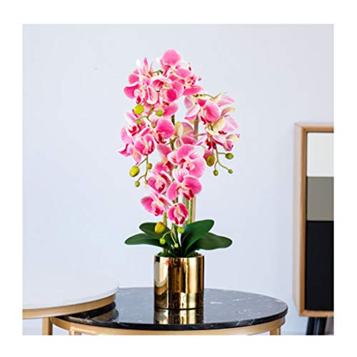 QXGJTLI Künstliche Blumen, Fast natürlich, künstliche Phalaenopsis, waschbar, Kunstblumen mit Blättern und Stiel, künstliche Orchideen mit Vase, Dekoration für von QXGJTLI