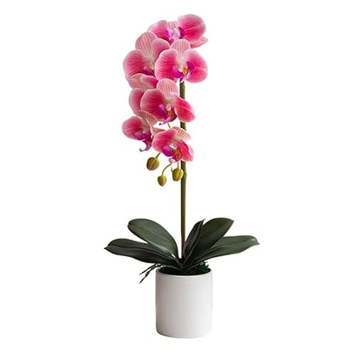 QXGJTLI Kunstblume mit Topf Orchidee Künstliche Phalaenopsis Einzelblumen mit Übertopf Künstliche Orchidee in Vase Gefälschte Blume für Wohnzimmerarrangements Orchidee (Rosa) von QXGJTLI